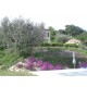 Properties for Sale_Farmhouse la Quiete in Le Marche_15